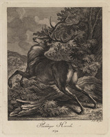 KG 01075
          <br/>
          Entwurf einiger Thiere. Dritter Theil. (18 bladen)
          <br/>
          <em>Ridinger, Johann Elias (1698-1767)</em>